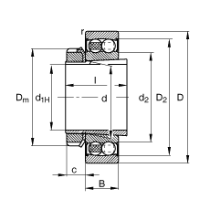 {(dio)S 2209-K-2RS-TVH-C3 + H309, (j) DIN 630  DIN 5415 (bio)(zhn)Ҫߴ, F׺;oɂ(c)ܷ